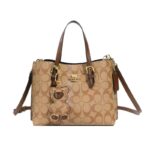 New Style Shoulder Bag with a High-End Feel, Versatile Crossbody Bag - Image 6