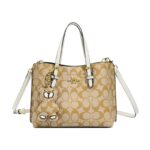 New Style Shoulder Bag with a High-End Feel, Versatile Crossbody Bag - Image 7